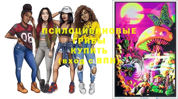 прущая мука Армянск