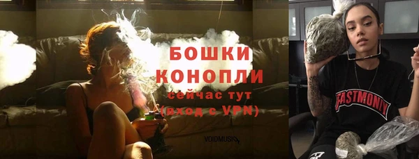 дурь Арсеньев