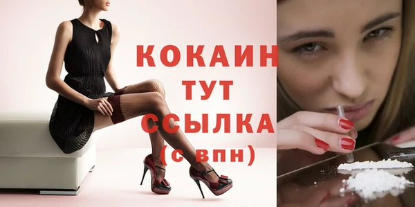дурь Арсеньев