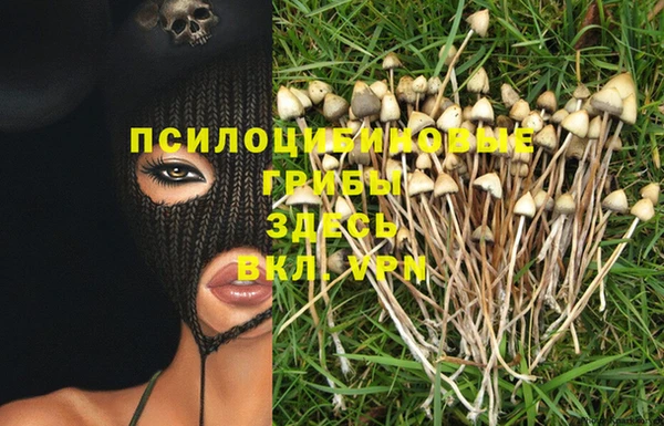 трава Аркадак