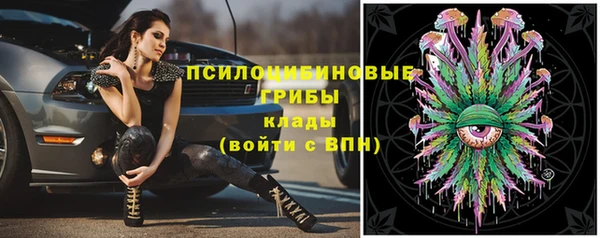 трава Аркадак