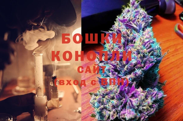дурь Арсеньев