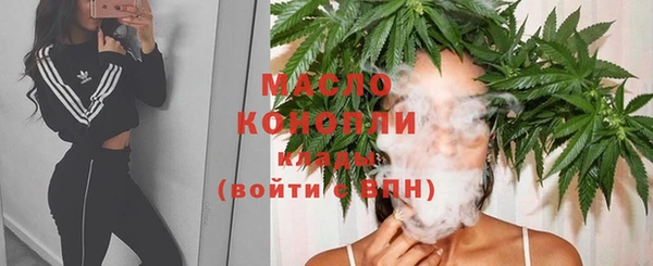 крисы Инсар