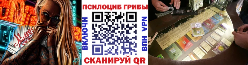 Галлюциногенные грибы мицелий  закладка  Таштагол 